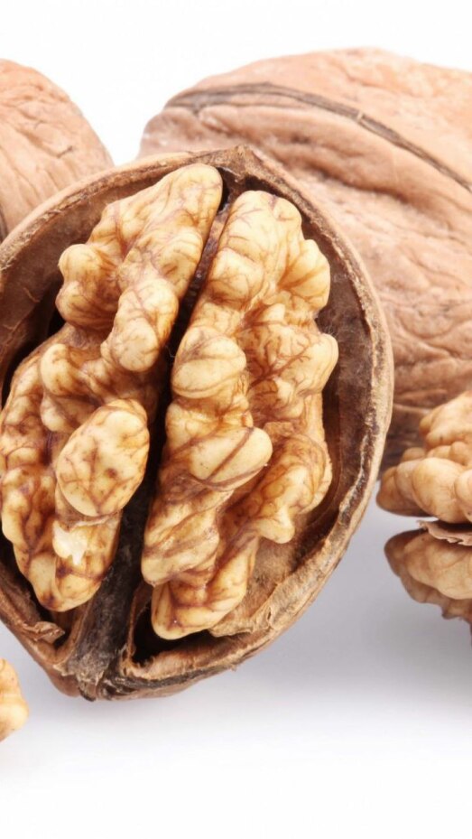 دارچین به انگلیسی دارچین برای سرماخوردگی دارچین برای لاغری دارچین برای چی خوبه دارچین به ترکی دارچین برای پریودی دارچین به آلمانی دارچین برای فشار خون دارچین برای سگ دارچین برای معده