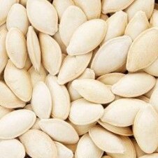 تخم کذو گوشتی